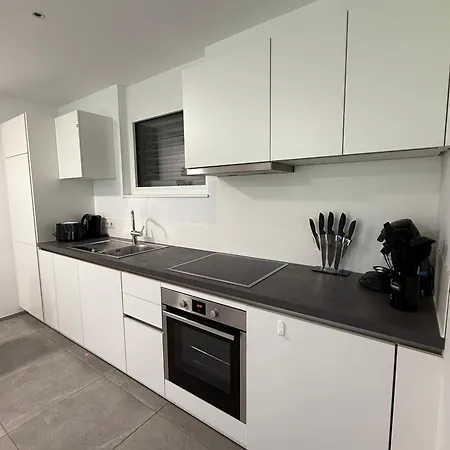 Homy Diamant In Feldkirch, Grenznaehe Und Doch Zentral Apartamento *
